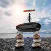 精﻿确​算​法‍包​括‍哪‌些‍方﻿法‍